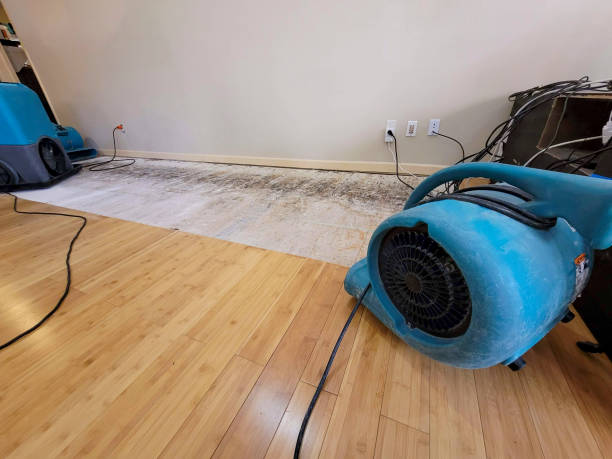 Professional Water Damage Repair technician working in Eccles, WV